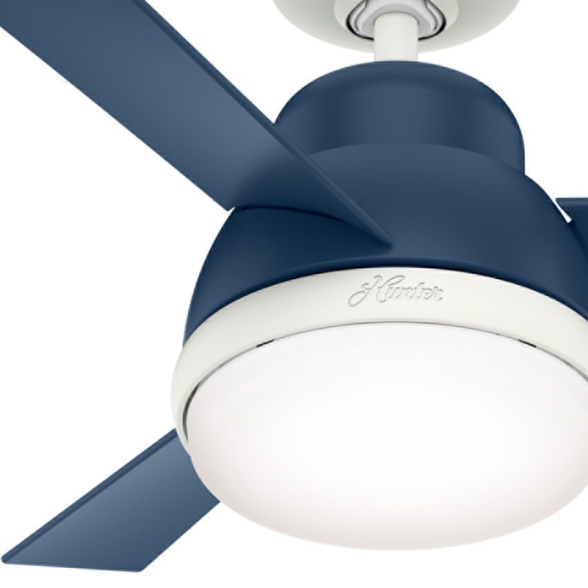 ハンターシーリングファン画像　Hunter Fan LEDライト付きバルダ36インチ