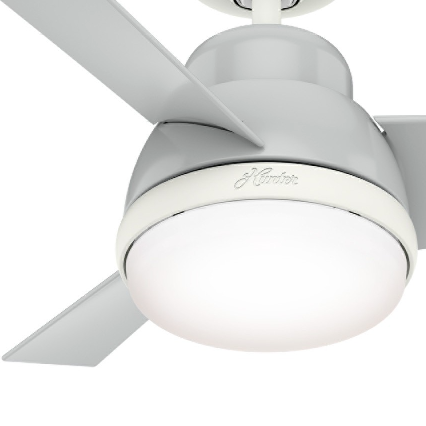 ハンターシーリングファン画像　Hunter Fan　LEDライト付きバルダ36インチ　　ハンターストア㈱