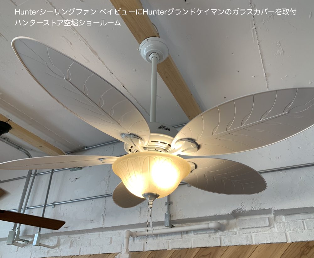 ハンターシーリングファン　ベイビュー　ホワイト　画像