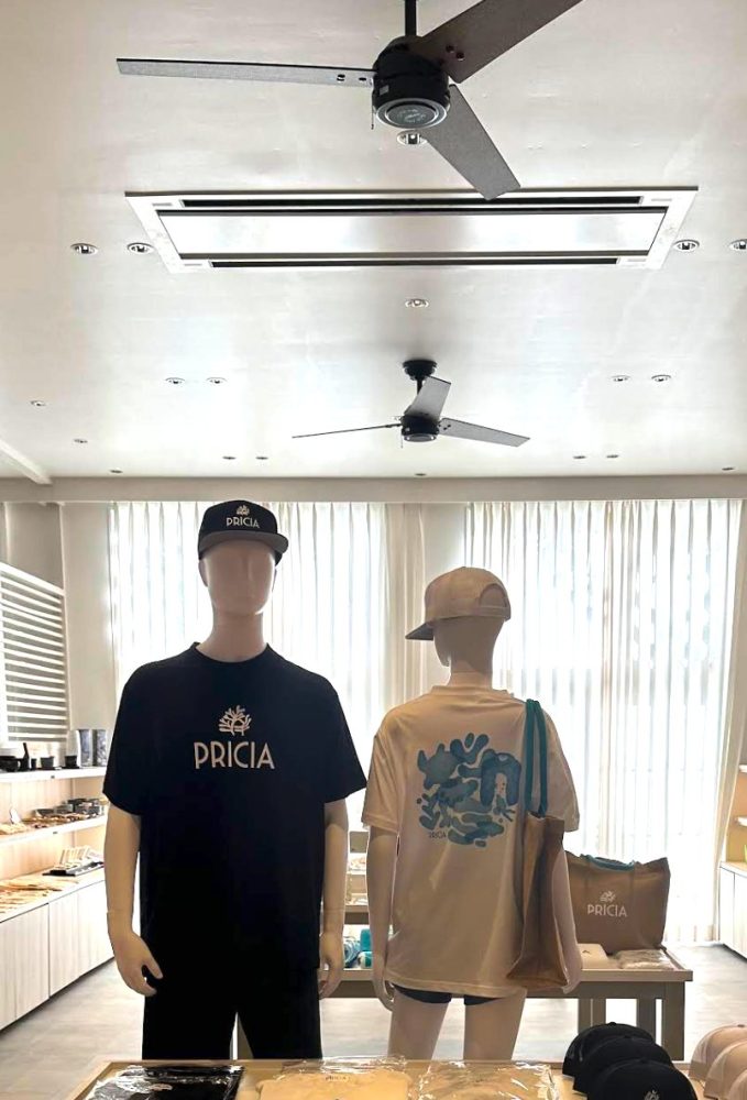 ハンターシーリングファン　カシアス52　マットブラック　設置画像