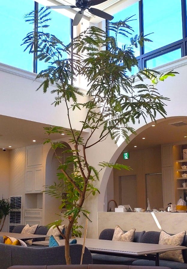 メゾン アムシュティー　　　ハンターシーリングファン　ビルダーエリート　ニューブロンズ　設置　画像