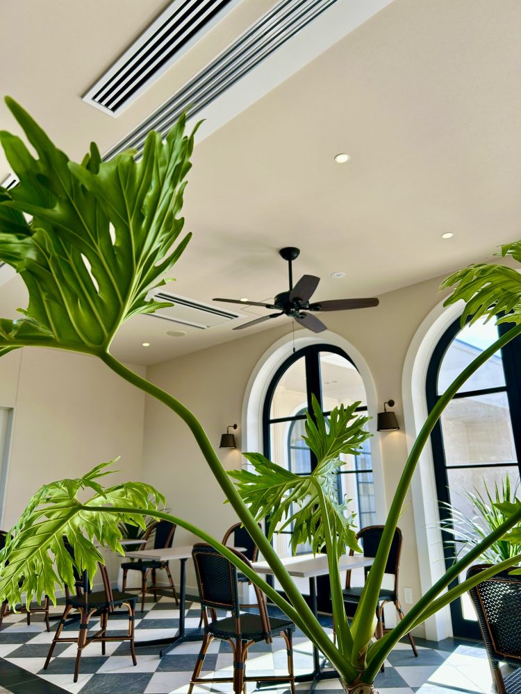 メゾン アムシュティー　　　ハンターシーリングファン　ビルダーエリート　ニューブロンズ　設置　画像