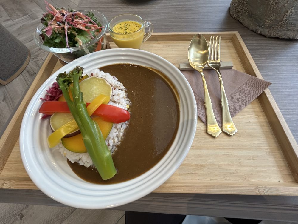 メゾン アムシュティー　　　ハンターシーリングファン　ビルダーエリート　ニューブロンズ　設置　画像