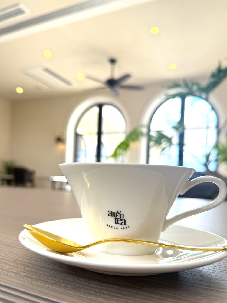 メゾン アムシュティー　　　ハンターシーリングファン　ビルダーエリート　ニューブロンズ　設置　画像