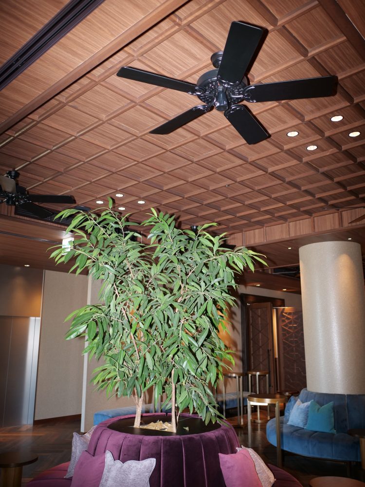 ハンターシーリングファン　画像　　　ハンターオリジナル　設置場所　ラソールガーデン熊本　