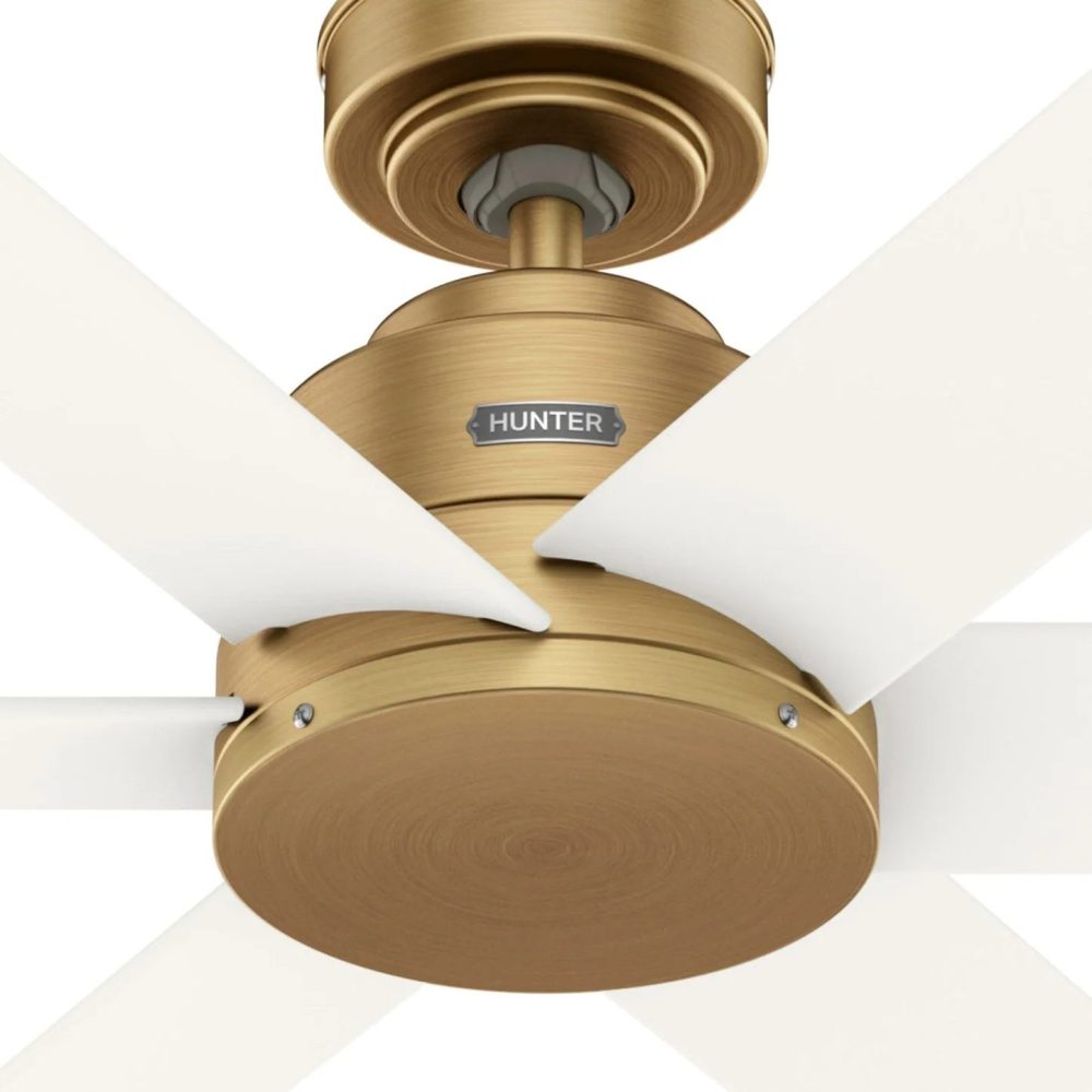 50063_ケニコット 52インチ　Luxe Gold　ハンターシーリングファン画像　縦　画像　拡大画像１　　　　